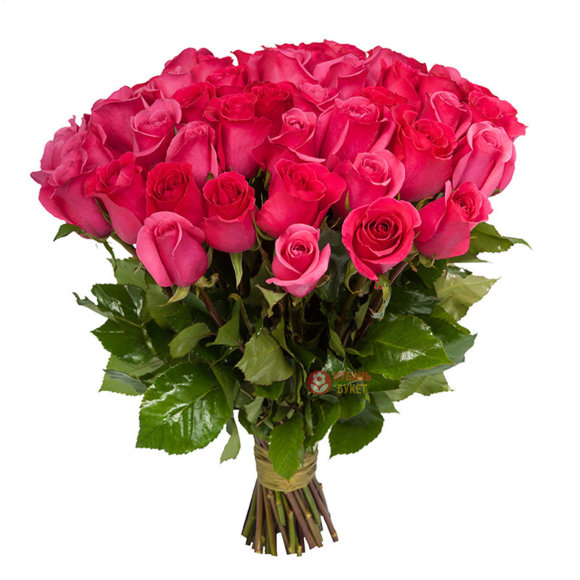 Букет 51 голландская розовая роза заказать за 20 657 руб. с доставкой