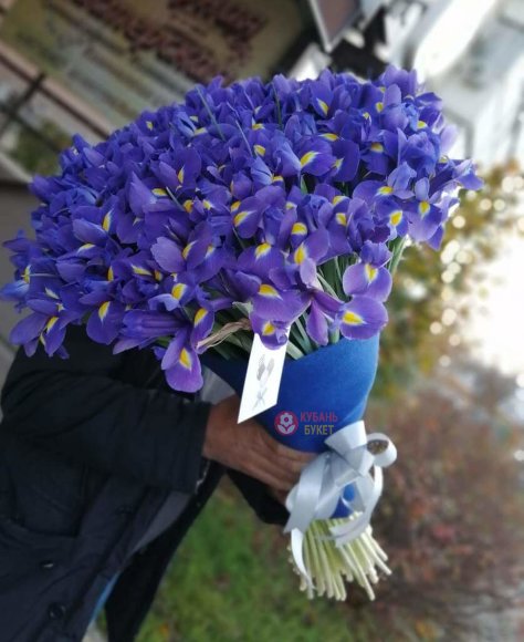 Букет 101 ирис заказать за 14 850 руб. с доставкой